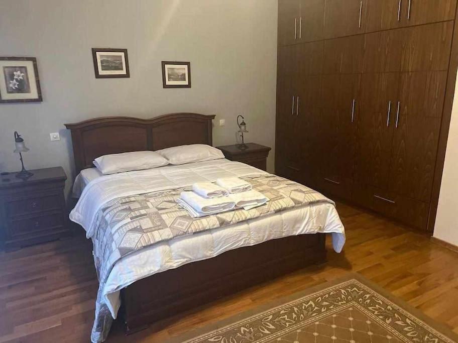 Το Σπίτι Του Μύλου Των Ξωτικών Villa Tríkala Buitenkant foto